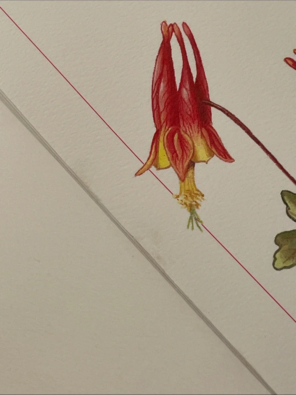 Vintage Wildflower Stationery